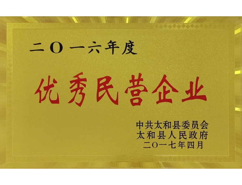 优秀民营企业
