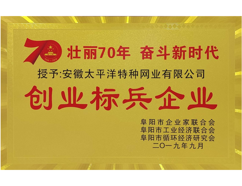 创业标兵企业